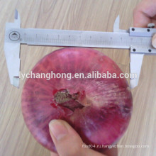 2014 новый урожай свежий красный большой лук из Шаньдун, Китай
